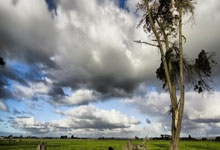 伤愈复出：FC首尔球员回归对阵全北现代