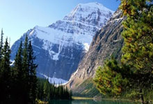 世界杯篮球锦标赛即将在法国举行