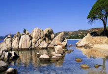 波兰主场对阵瑞典，胜利是否在望？